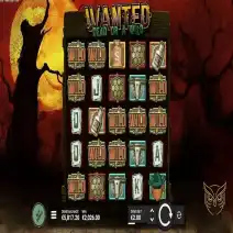 Wanted Dead or Wild jouer